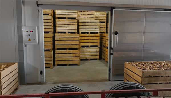 image of pallets of potatoes in a cold storage facility